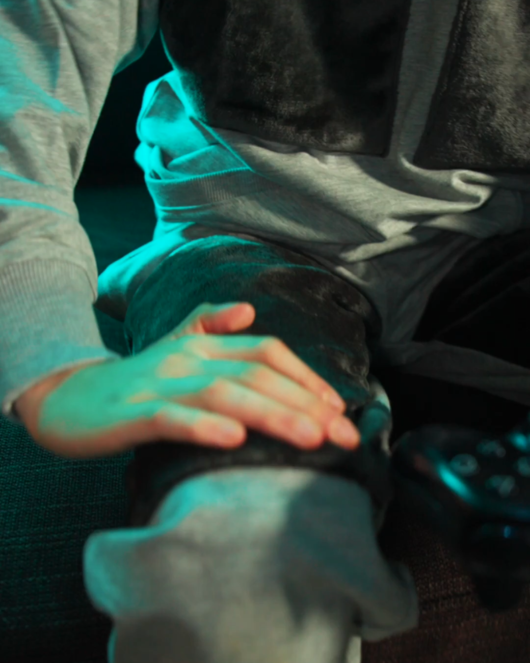 SWHD - GAMER JOGGINGANZUG - BLACK & GREY EDITION